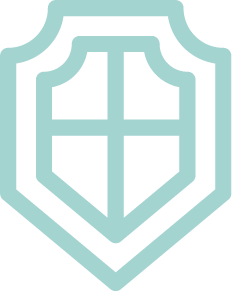 Government & Defence